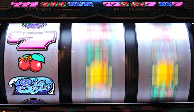 20周年にハイビスカス満開