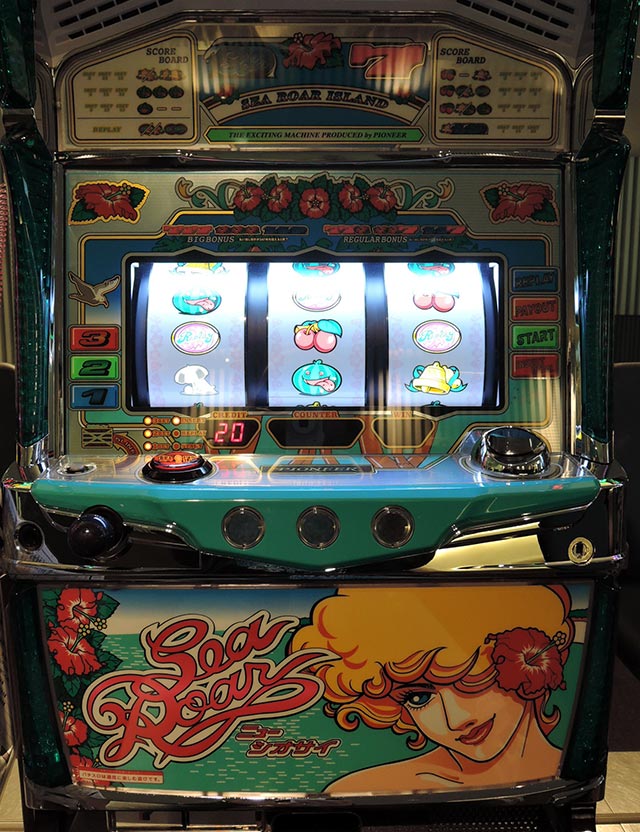 20周年にハイビスカス満開